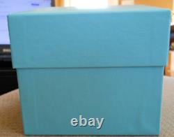 2014 Tiffany Blue BOX, COA, POUCH, LEATHER ZIPPERED JEWELRY TRAVEL STORAGE NIB