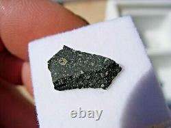 263 gram 13x8x2mm MURCHISON (CM2) Meteorite fragment AUSTRALIA display case+COA