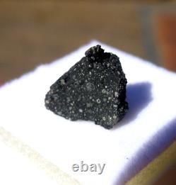 327 grams crusted 9x7x5mm MURCHISON CM2 Meteorite in display case with COA