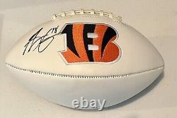 AJ Green Autographed Cincinnati Bengals Logo Football in Display Case with GA COA