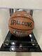 Derrick Rose Signed Basketball Auto With Display Case And Coa