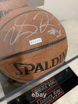 Derrick Rose signed basketball auto with display case and COA
