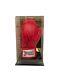 Exclusive Teofimo Lopez Signed Red Everlast Boxing Glove In A Display Case Coa