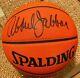 Kareem Abdul-jabbar Signed Basketball With Psa Coa And Display Case Lakers