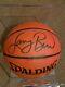 Larry Bird Autograph Full Size Spalding Basketball Nba With Coa And Display Case