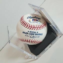 Mark Grace Autographed MLB Signed Rawlings Baseball PSA DNA COA Display Case