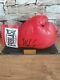 Mike Tyson Signed Boxing Glove With Coa In Display Case