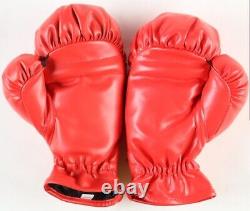 Mike Tyson Signed Everlast Boxing Glove Set and Display Case JSA & Tyson COA