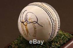 Moeen Ali Signed Cricket Ball Autograph Display Case England Memorabilia COA