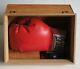 Muhammad Ali Autogramm Signiert Boxhandschuh Jsa Coa Signed With Display Case