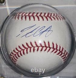 Pete Crow Armstrong Autographed OML Baseball MLB COA Authentic Cubs RC Display