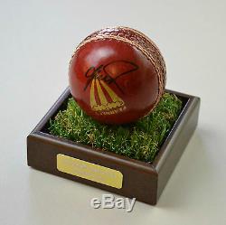 Shane Warne Signed Cricket Ball Australia Autograph Display Case Memorabilia COA