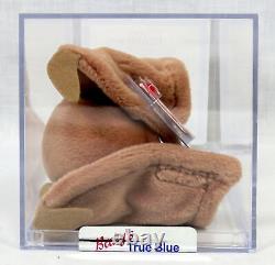 Ty Beanie Baby Batty Tan Acrylic Display Case Authenticated COA Gorgeous Fabric