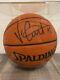 Vince Carter Autograph Signed Spalding Ball Nba Raptors With Display Case Coa