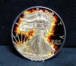 2014 American Silver Eagle Burning Liberty 1oz Argent Dans Le Boîtier D'affichage Avec Coa