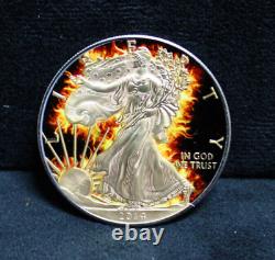 2014 American Silver Eagle Burning Liberty 1oz Argent Dans Le Boîtier D'affichage Avec Coa