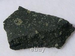 263 G 13x8x2mm Murchison (cm2) Meteorite Fragment Australia Vitrine + Coa