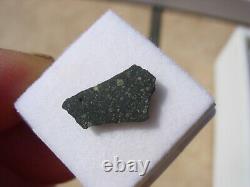 263 G 13x8x2mm Murchison (cm2) Meteorite Fragment Australia Vitrine + Coa