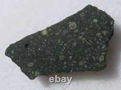 263 Gram-13x8x2mm Murchison (cm2) Fragment Météorite Australie Display Case + Coa