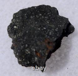 528 grammes Météorite MURCHISON CM2 en croûte de 11x8x5mm dans un étui de présentation avec certificat d'authenticité