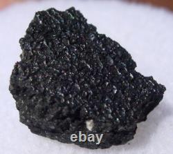 528 grammes Météorite MURCHISON CM2 en croûte de 11x8x5mm dans un étui de présentation avec certificat d'authenticité