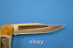 Buck Custom 110 Eagle Mountain Pliant Couteau Ltd Ed Cas D'affichage #0167 Avec Coa