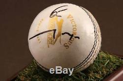 Eoin Morgan Vitrine D'autographes Signée Cricket Ball - Angleterre Souvenirs Coa