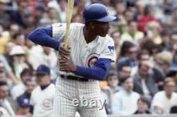 Ernie Banks A Signé Chicago Cubs Onl Baseball & Display Case With Thumbprint Coa