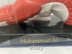 Gant D'abri De Boxe Muhammad Ali Signé Avec Boîtier D'affichage Avec Plaque Nominative Coa