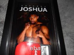 Gant de boxe signé par Anthony Joshua dans un étui d'exposition avec une façade en Plexiglas + COA