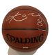 Kobe Bryant Autographié Basket-ball Avec L'aco, Vitrine Et Plaque Signalétique