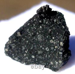 Météorite MURCHISON CM2 de 327 grammes, crustée, 9x7x5mm, dans une vitrine avec certificat d'authenticité.