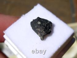 Météorite MURCHISON CM2 de 327 grammes, crustée, 9x7x5mm, dans une vitrine avec certificat d'authenticité.