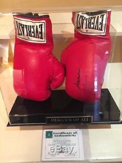Muhammad Ali Autographié Everlast Gants De Boxe Withcoa Et Affichage De Cas