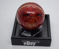 Phil Tufnell Signé Cricket Autograph Ball Vitrine Sport Angleterre Aftal Coa